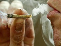 Senadores podem aprovar em audiência pública a liberação do consumo recreativo da maconha no Brasil