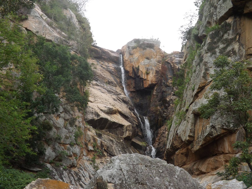 canion02